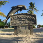 Kalanggaman Island Tour"